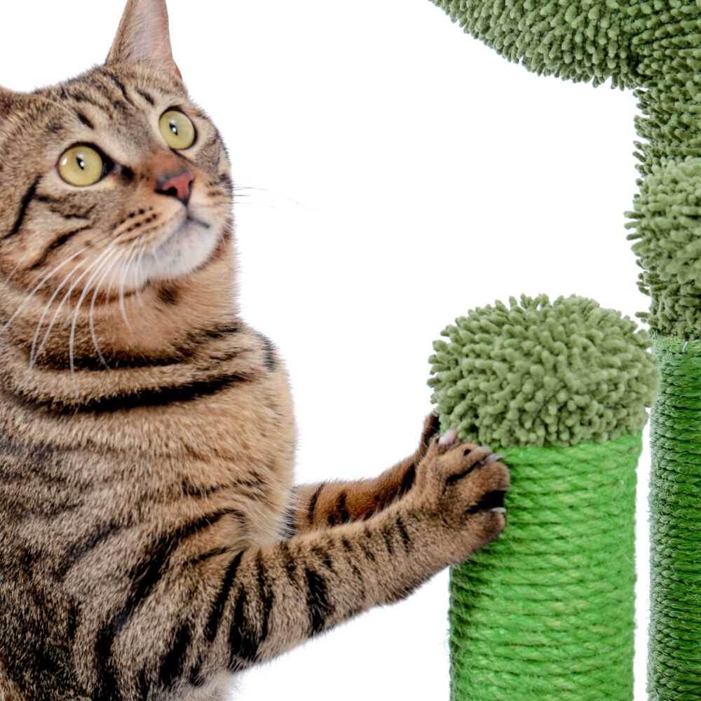 Cat Scratching Post Cactus Cat Scratcher Featuring with 3 Scratching Poles and Interactive Dangling Ball #JL06-90098883 - Image 2