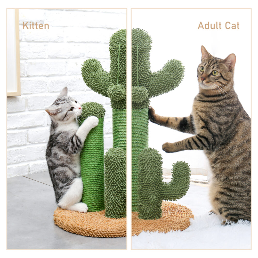 Cat Scratching Post Cactus Cat Scratcher Featuring with 3 Scratching Poles and Interactive Dangling Ball #JL06-90098883 - Image 3