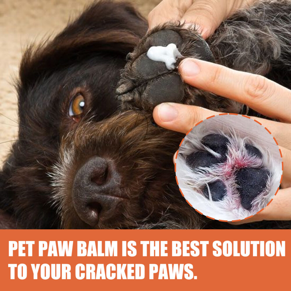 Pet foot Balm Animal foot care for cats and dogs PAWS Foot pads Protection care balm #JL04-Hzg18yx01-30ml - Image 6