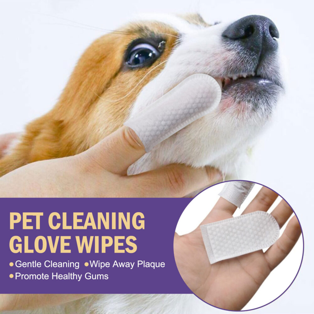 Pet cleaning glove wipes Pet gum care Gentle cleaning teeth tartar odor #JL04-JA122302201-50pcs - Image 4