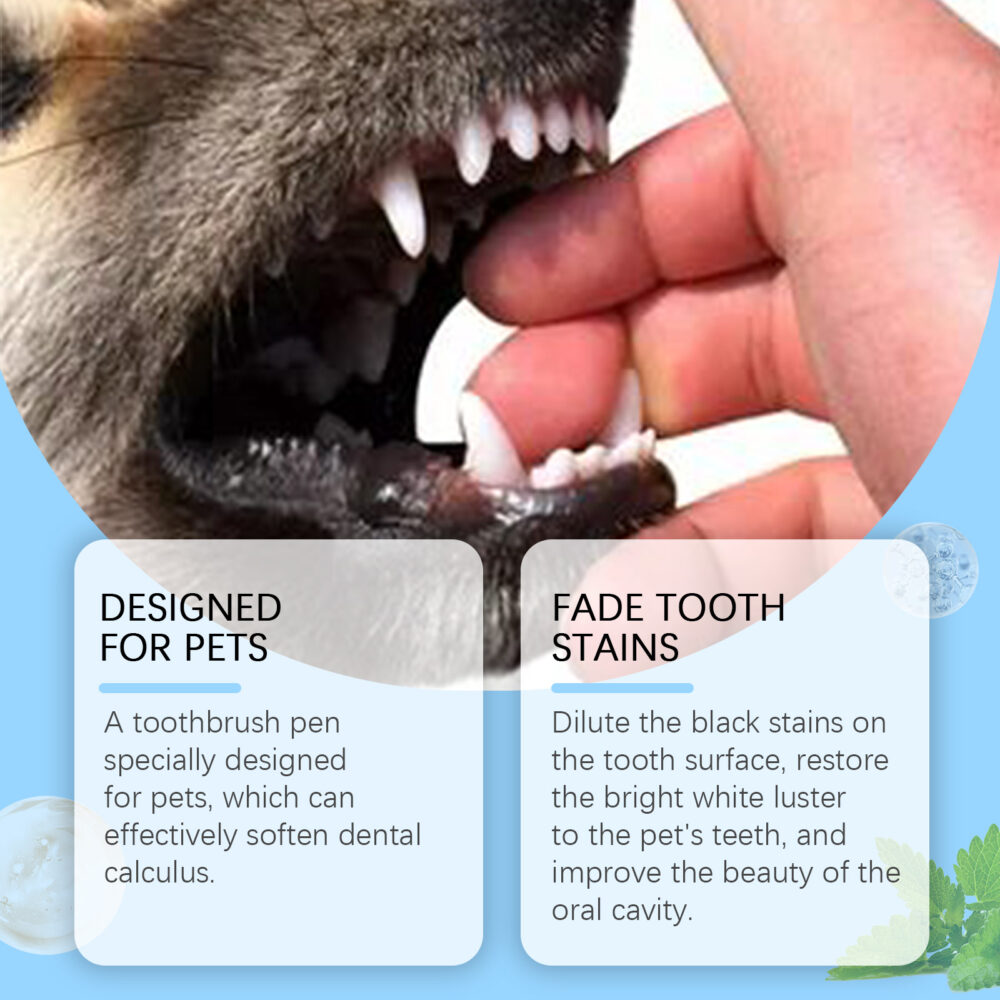 Pet teeth cleaning care brush Oral teeth cleaning tartar clean fresh care #JL04-YE-G01-0097-01 - Image 9