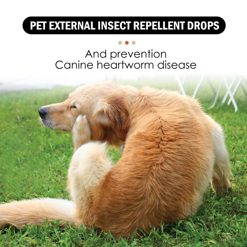 Pet external insect repellent Drops Cleaning for cats and dogs Tick and flea drops #JL04-YEB08-A008-30-BN1 - Image 5