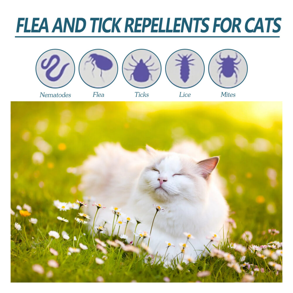 Pet anti-flea tick agent External deworming skin cleaning tick drops for cats and dogs #JL04-YEB08-A020-50-WH1 - Image 5