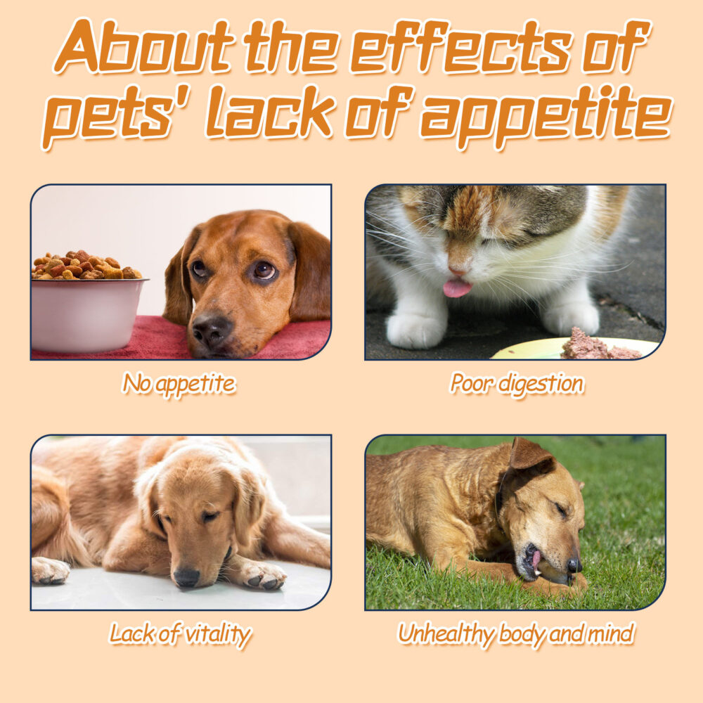 Pet care drops Boost your pet's vitality and supplement nutrition Pet health care drops #JL04-YEF01-A042-60-MX1 - Image 7