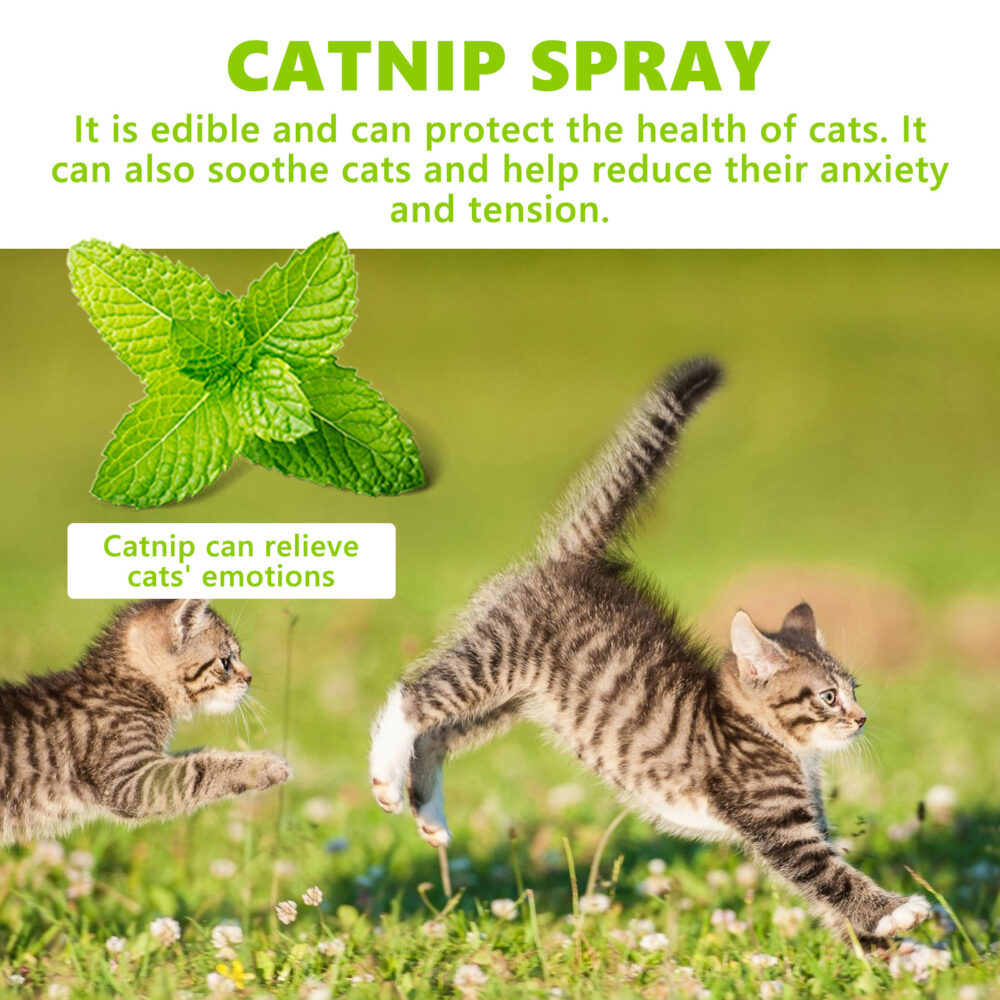 Catnip Spray relieves cat anxiety and boosts pet vitality health care spray #JL04-YEF01-A043-100-WH1 - Image 7