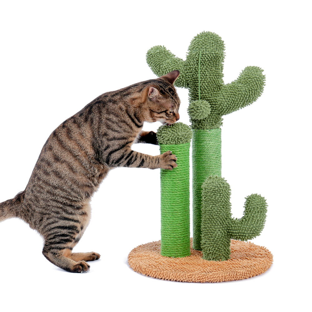 Cat Scratching Post Cactus Cat Scratcher Featuring with 3 Scratching Poles and Interactive Dangling Ball #JL06-90098883 - Image 7