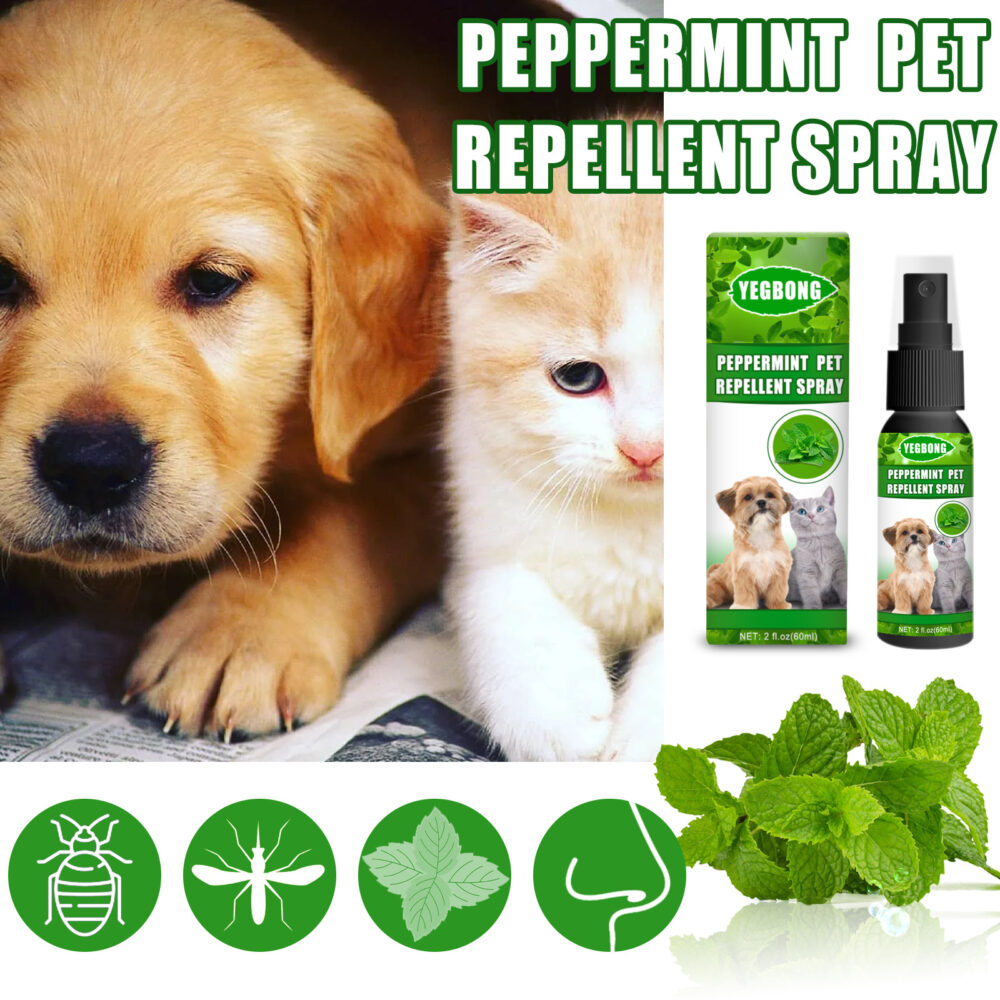 Peppermint Pet Mite Spray Dog Mite Spray Pet Mite fungus Spray for cats and dogs #JL04-bhcmpw1108mj01-60ml