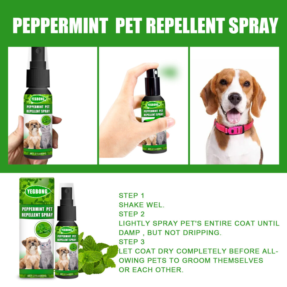 Peppermint Pet Mite Spray Dog Mite Spray Pet Mite fungus Spray for cats and dogs #JL04-bhcmpw1108mj01-60ml - Image 4