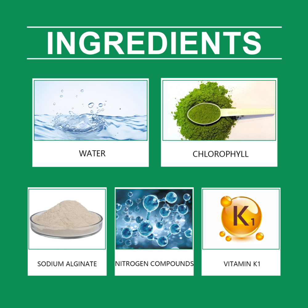 Chlorophyll spray flowers and fruit trees green plants green leaves healthy growth universal whole plant nutrient solution #WM-MOF01-A027-100-GN1 - Image 5