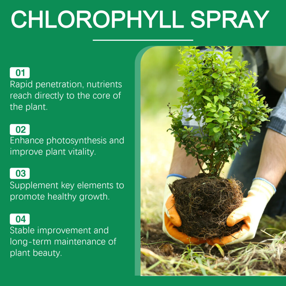 Chlorophyll spray flowers and fruit trees green plants green leaves healthy growth universal whole plant nutrient solution #WM-MOF01-A027-100-GN1 - Image 7