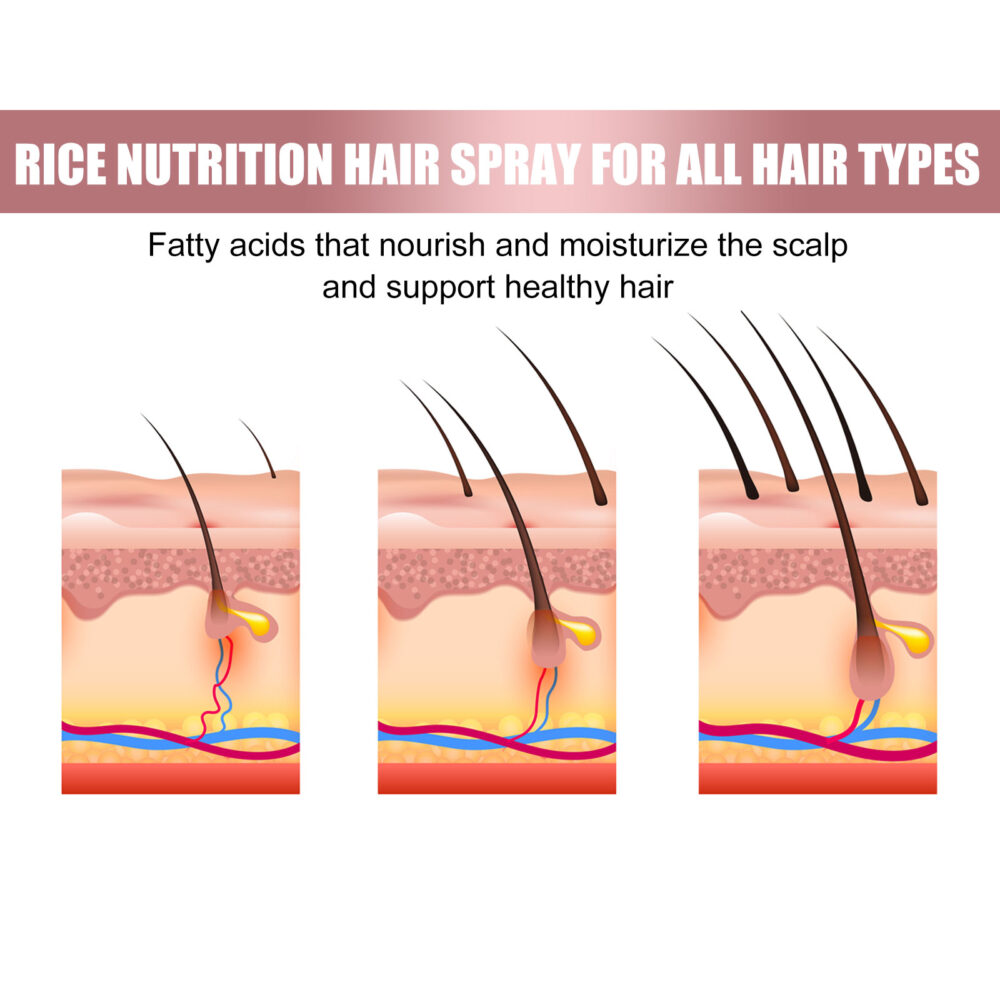 Rice Dense Hair Mist Strengthens Hair And Repairs Hair Follicles And Hair Roots, Preventing Hair From Falling Out, And Thick Hair Mist #JL05-w13123825 - Image 2